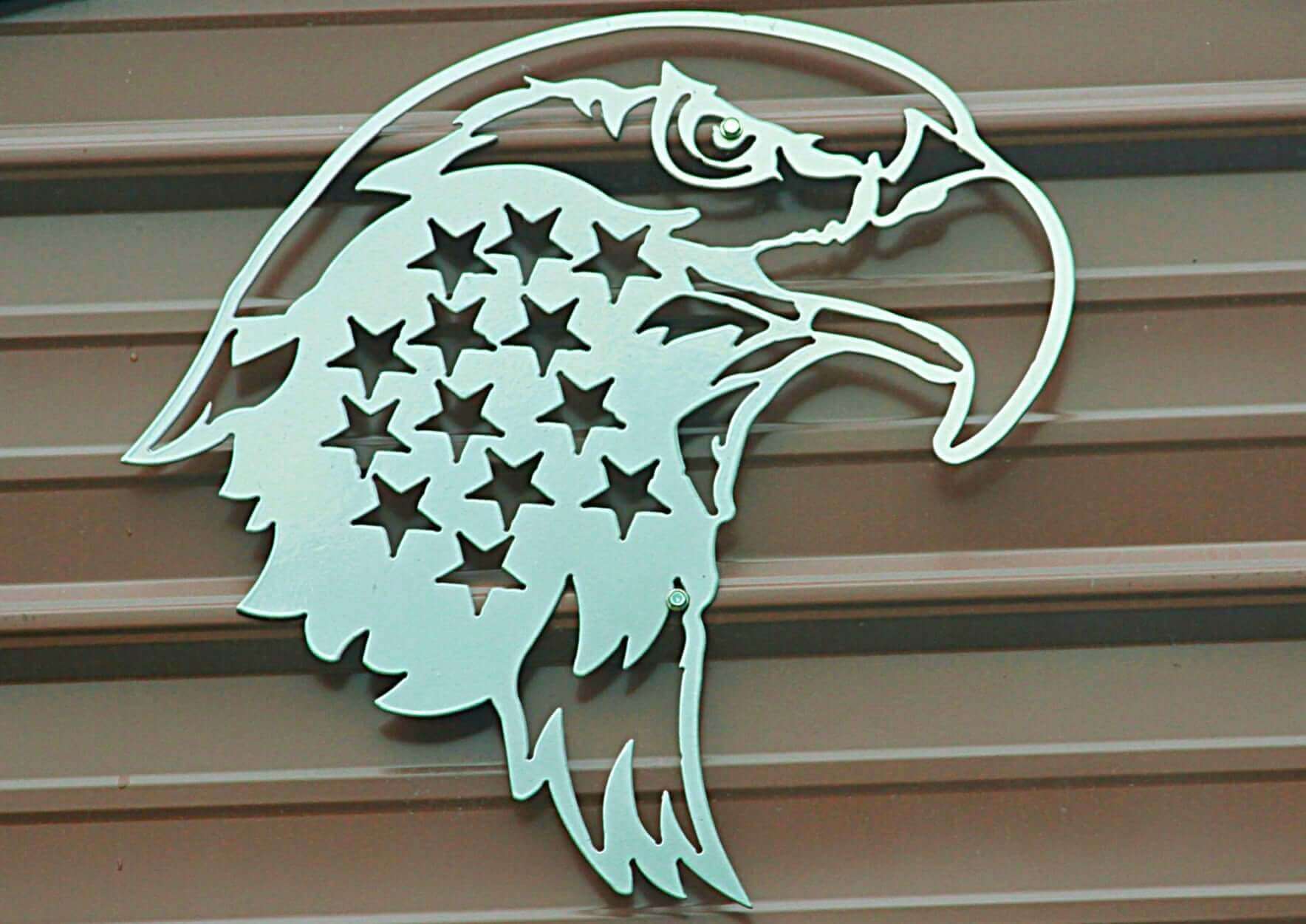 Eagle Portrait with Flag