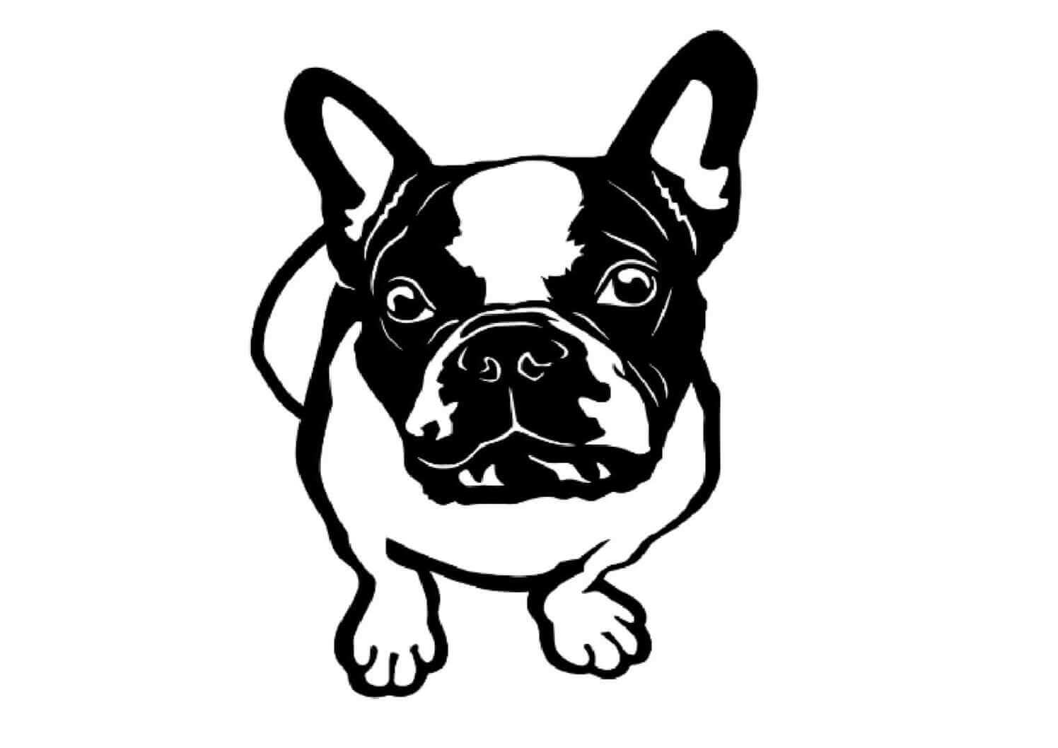 French Bulldog Looking Up Metal Sign