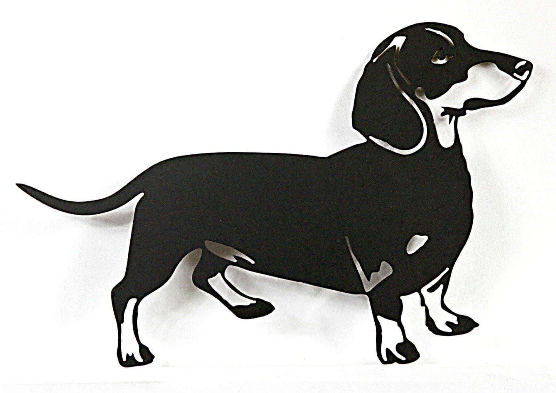 Dachshund